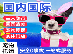 花果山航空货运国际宠物托运 【国